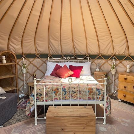 Puckaster Cove Garden Yurt Hotel Niton Exterior photo