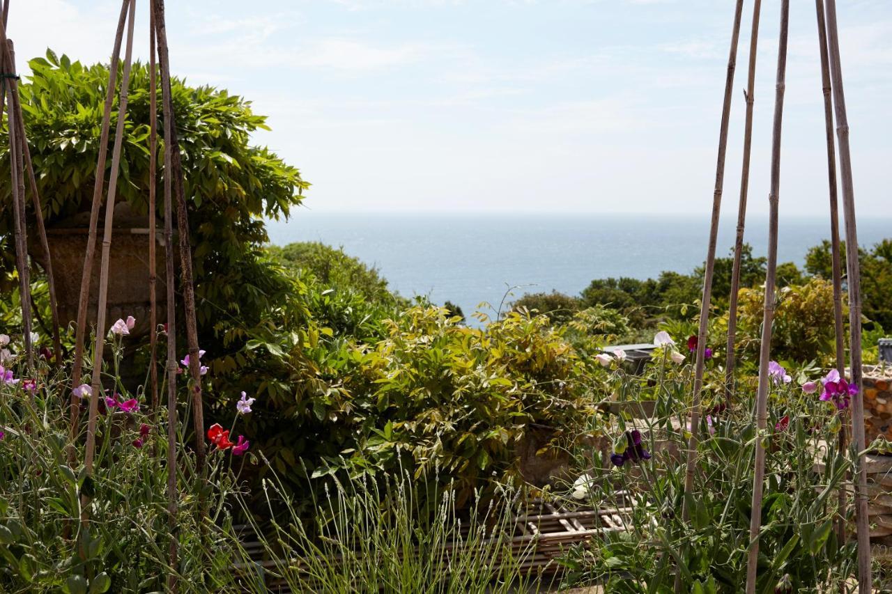Puckaster Cove Garden Yurt Hotel Niton Exterior photo
