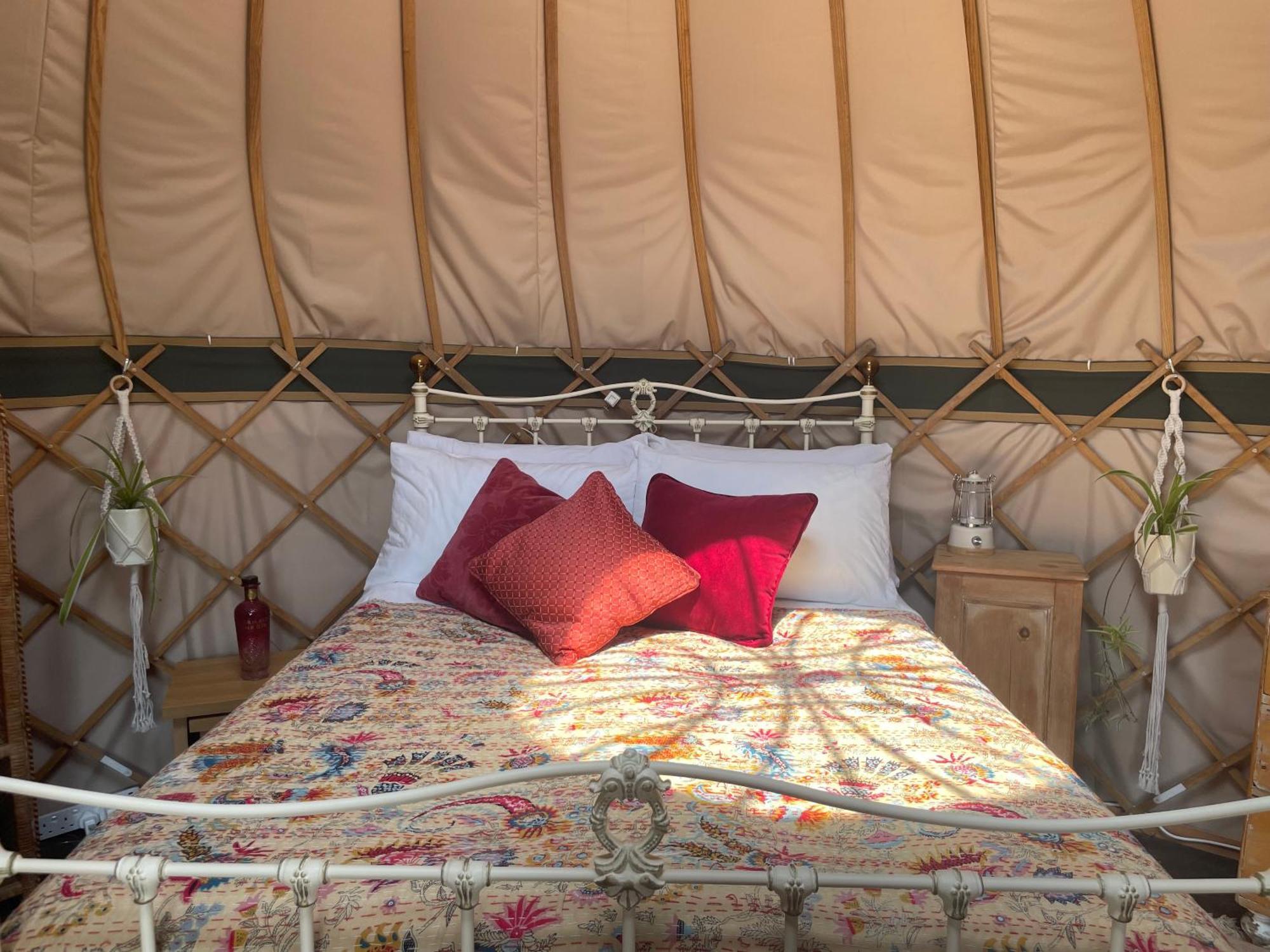 Puckaster Cove Garden Yurt Hotel Niton Exterior photo